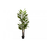 83" Dracaena Tree With 8" Black Pot - Green