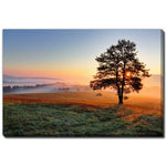 Rooted in Light Wall Art - Blue/Green/Orange - 16 X 20