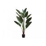 83" Bird Of Paradise Plant With 8" Black Pot - Green