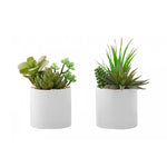 7" Succulent Plant with 3" White Pot - Green - Set of Two