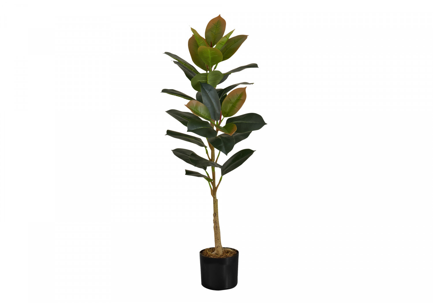 40" Rubber Tree With 5" Black Pot - Green