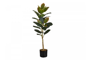 40" Rubber Tree With 5" Black Pot - Green