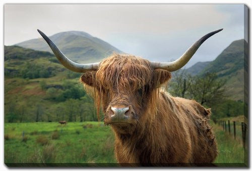 Guardian of the Glen Wall Art - Brown/Green - 16 X 20