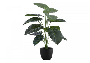 24" Alocasia Plant With 5" Black Pot - Green