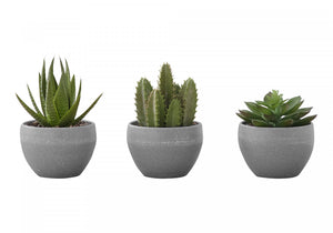 6" Succulent Plant with Grey Pot - Green - Set of 3