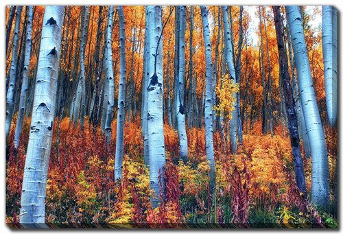 Autumn Blaze Wall Art - Orange - 16 X 20