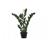 29" ZZ Plant With 6" Black Pot - Green