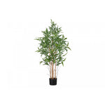 50" Bamboo Tree With 5" Black Pot - Green