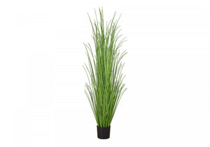 47" Grass Plant With 5" Black Pot - Green