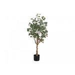 46" Eucalyptus Tree With 5" Black Pot - Green