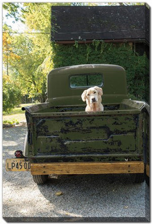 Tailgate Traveler Wall Art - Green - 22 X 28