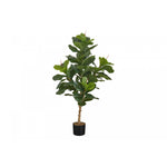 47" Fiddle Tree With 5" Black Pot - Green