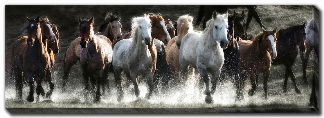 Wild and Unbroken Wall Art - Grey/Brown - 12 X 36