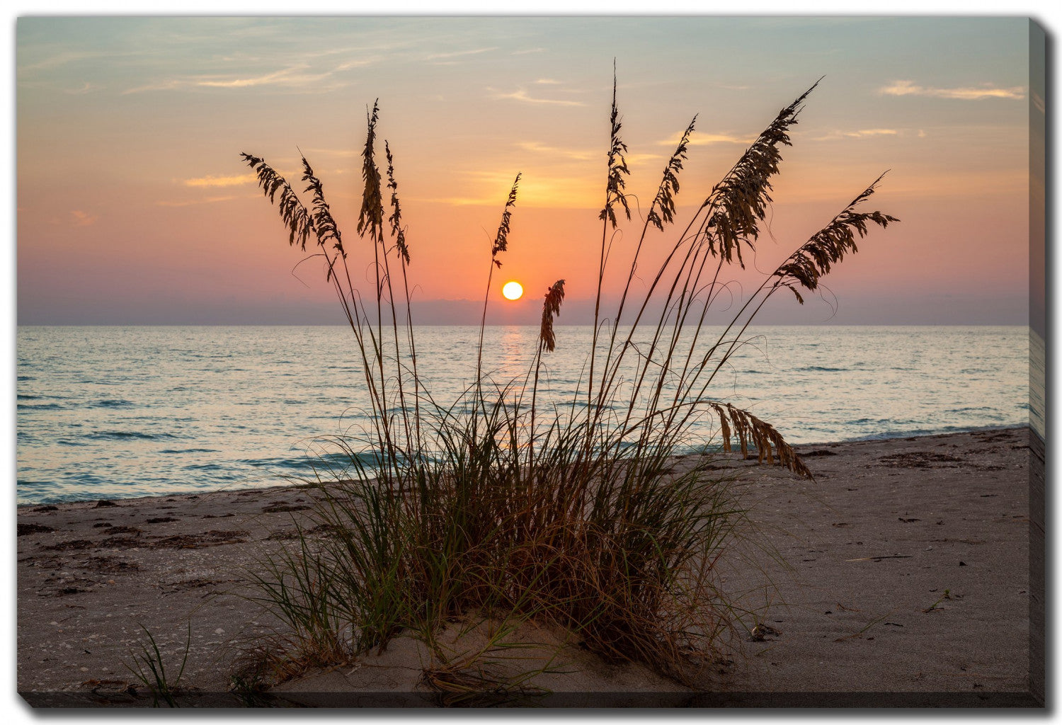 Dune Silhouette Wall Art - Orange/Brown - 22 X 28