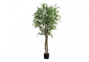 79" Ficus Tree With 8" Black Pot - Green