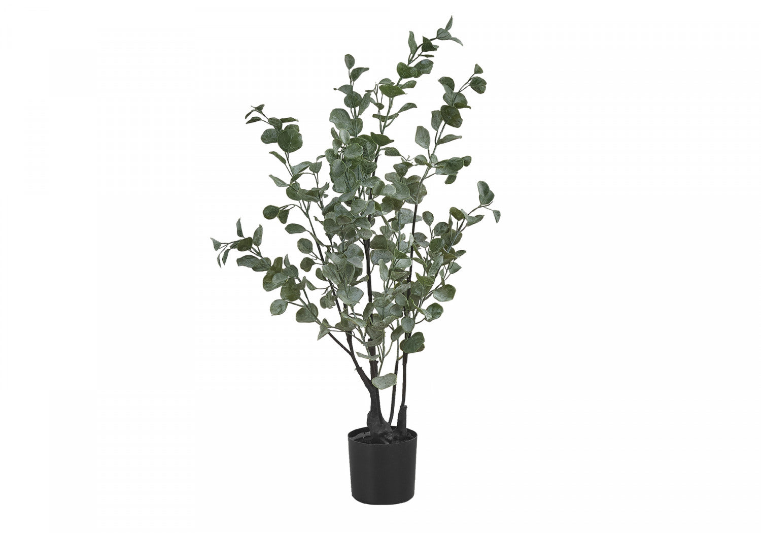35" Eucalyptus Plant With 5" Black Pot - Green