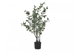 35" Eucalyptus Plant With 5" Black Pot - Green