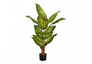 47" Evergreen Plant With 5" Black Pot - Green
