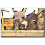 Fuzzy Friends Wall Art - Brown - 16 X 20