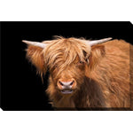 Moo in the Shadows Wall Art - Brown - 38 X 60