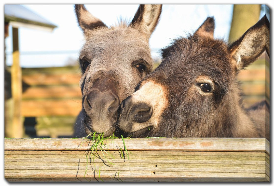 Fuzzy Friends Wall Art - Brown - 38 X 60