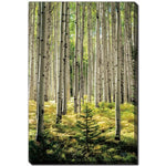 Whispering Grove Wall Art - Green - 16 X 20