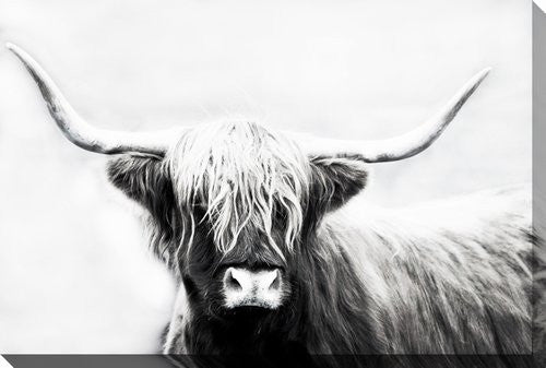 Stark Stare Wall Art - Black/White - 22 X 28