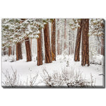 Stillness in Snow Wall Art - White - 22 X 28