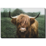 Woolly Majesty Wall Art - Brown/Green - 22 X 28