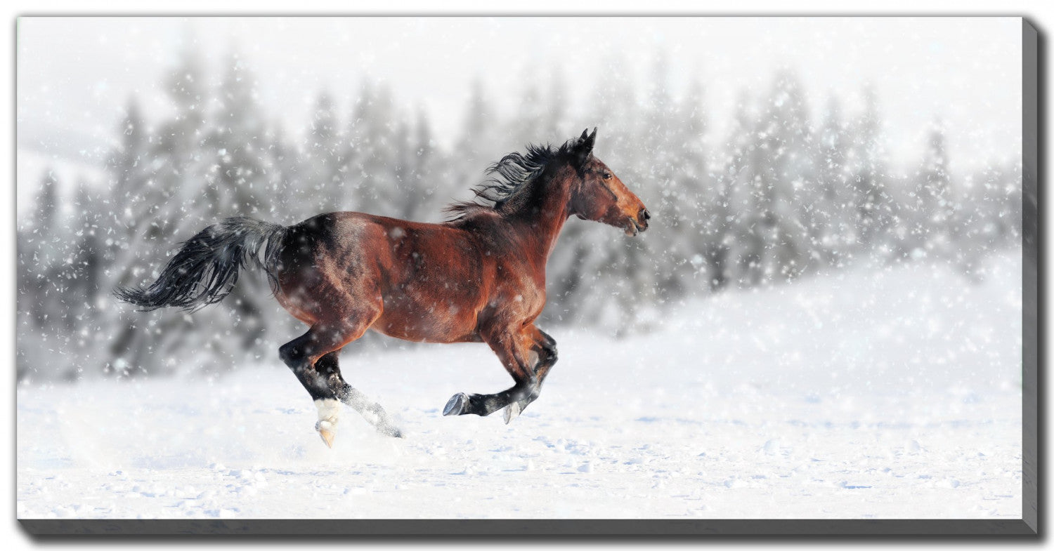 Snow Spirit Wall Art - White/Dark Brown - 20 X 40