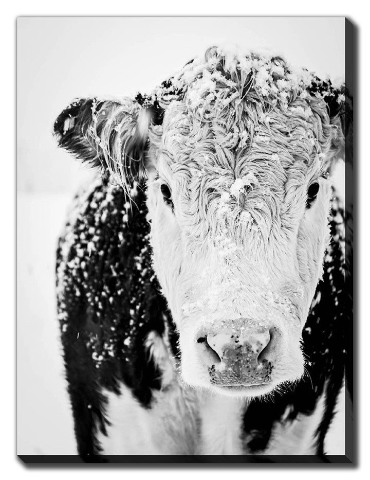 The Depth of Winter Art - Black/White - 38 X 60