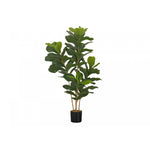 41" Fiddle Tree With 5" Black Pot - Green
