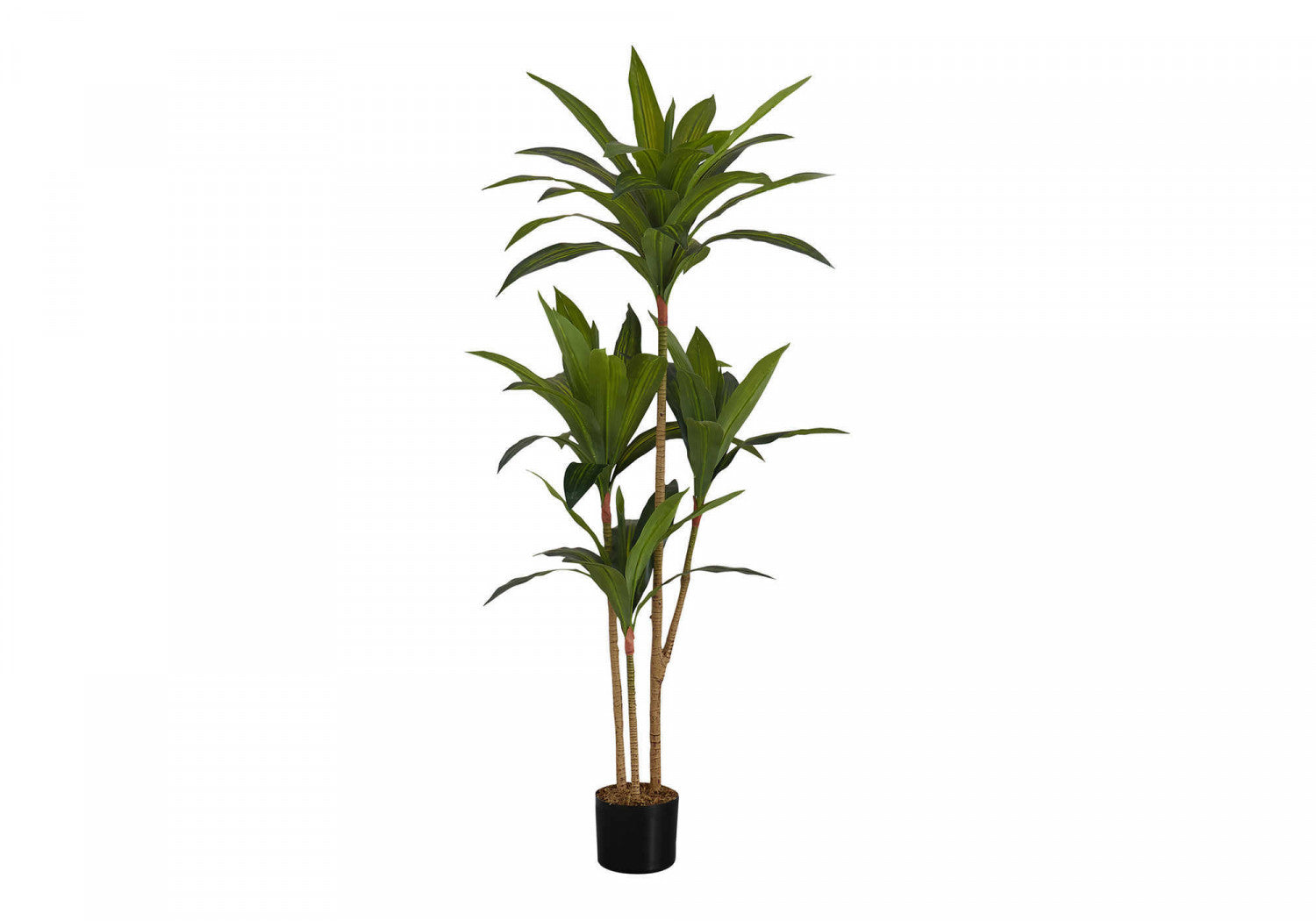 51" Dracaena Plant With 5" Black Pot - Green
