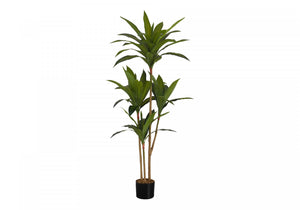 51" Dracaena Plant With 5" Black Pot - Green