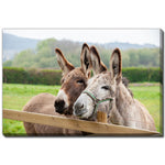 Donkeys at the Fence Wall Art - Brown - 22 X 28