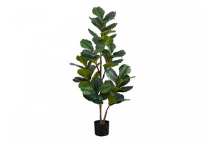 49" Fiddle Tree With 5" Black Pot - Green