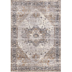 Elegant Traditional Area Rug - 7' X 10' - Grey/Brown