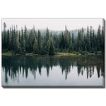 Forest Echo Wall Art - Green - 22 X 28