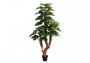 83" Monstera Tree With 8" Black Pot - Green