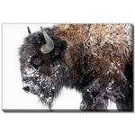 Winter Coat Wall Art - Brown - 30 X 45