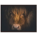 Highland Gaze Wall Art - Brown - 30 X 40