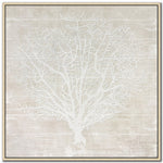 Sea Lace II Wall Art - White - 30 X 30
