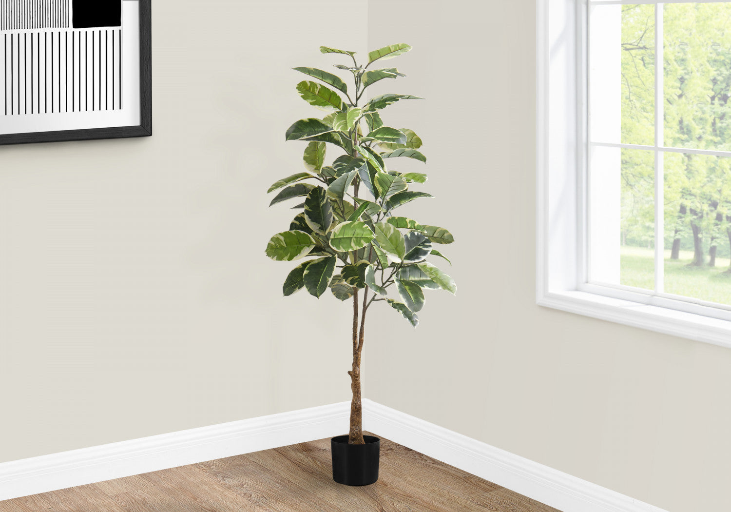 52" Rubber Tree With 5" Black Pot - Green/White