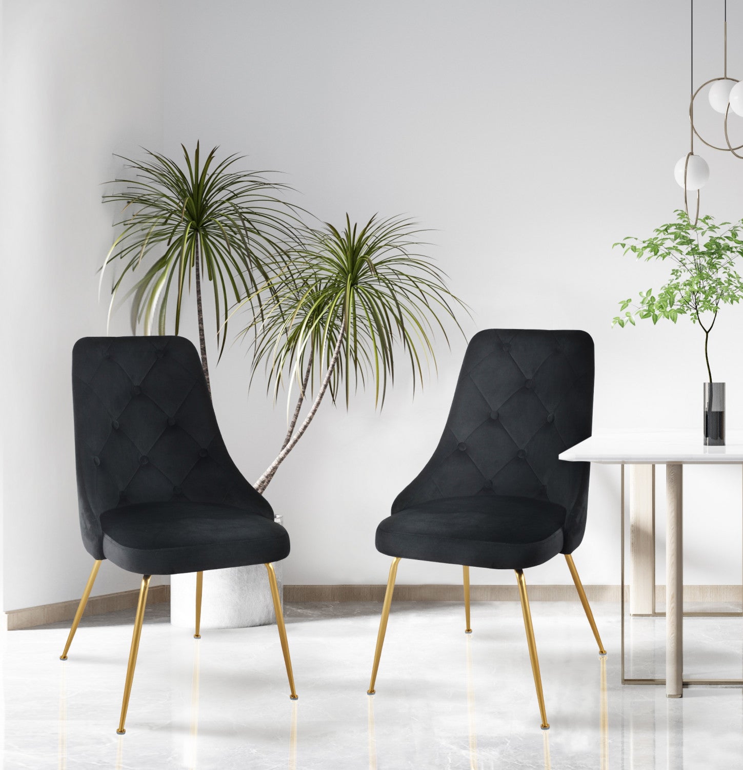 Peacock Velvet Dining Chair - Black/Gold - Set of Two