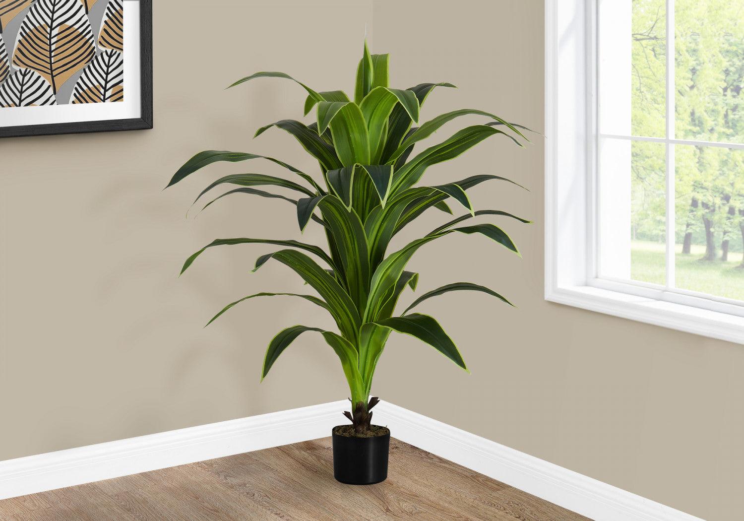 47" Dracaena Tree With 5" Black Pot - Green