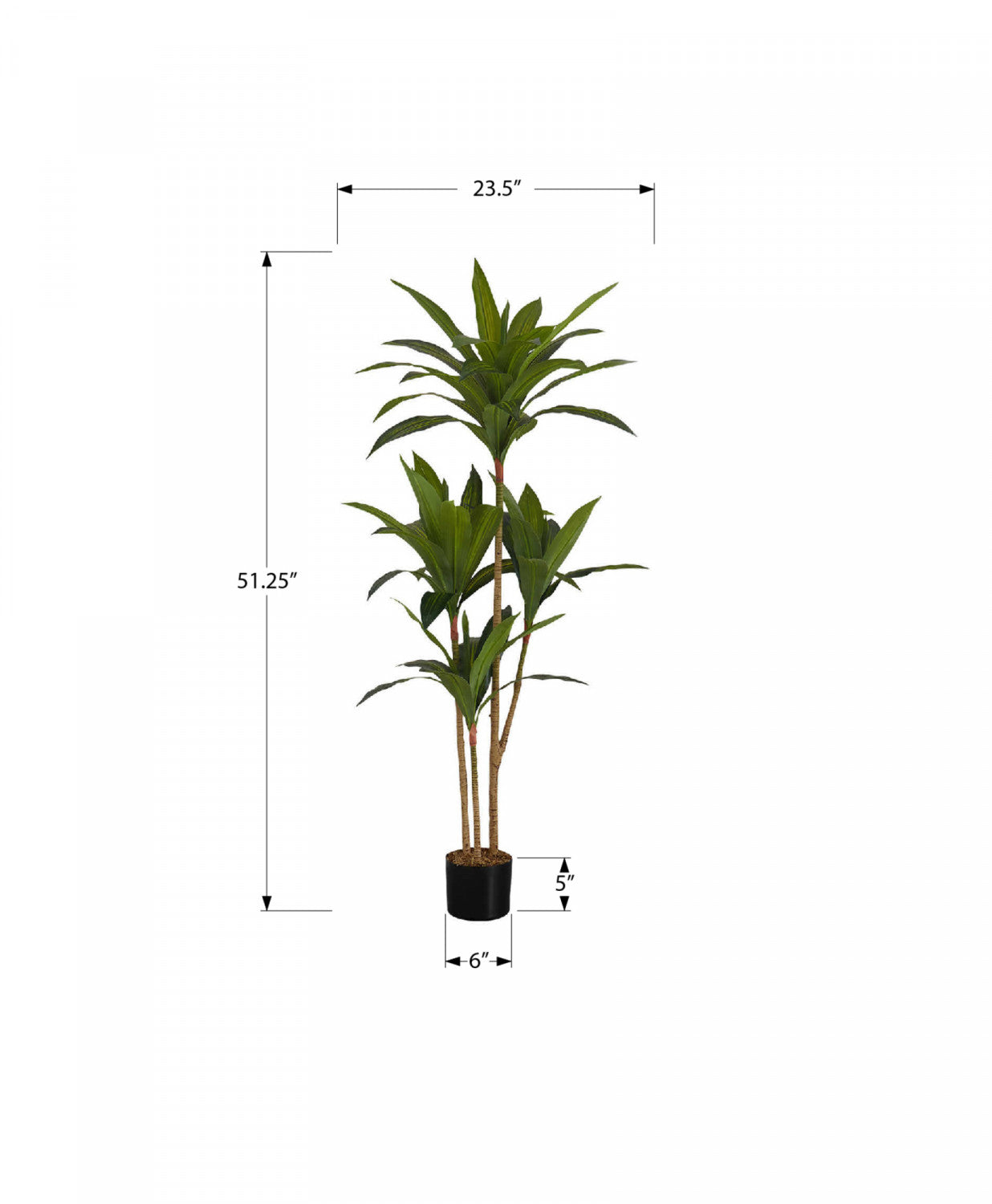51" Dracaena Plant With 5" Black Pot - Green