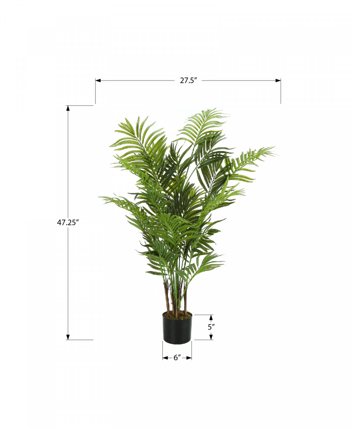 47" Areca Tree With 5" Black Pot - Green