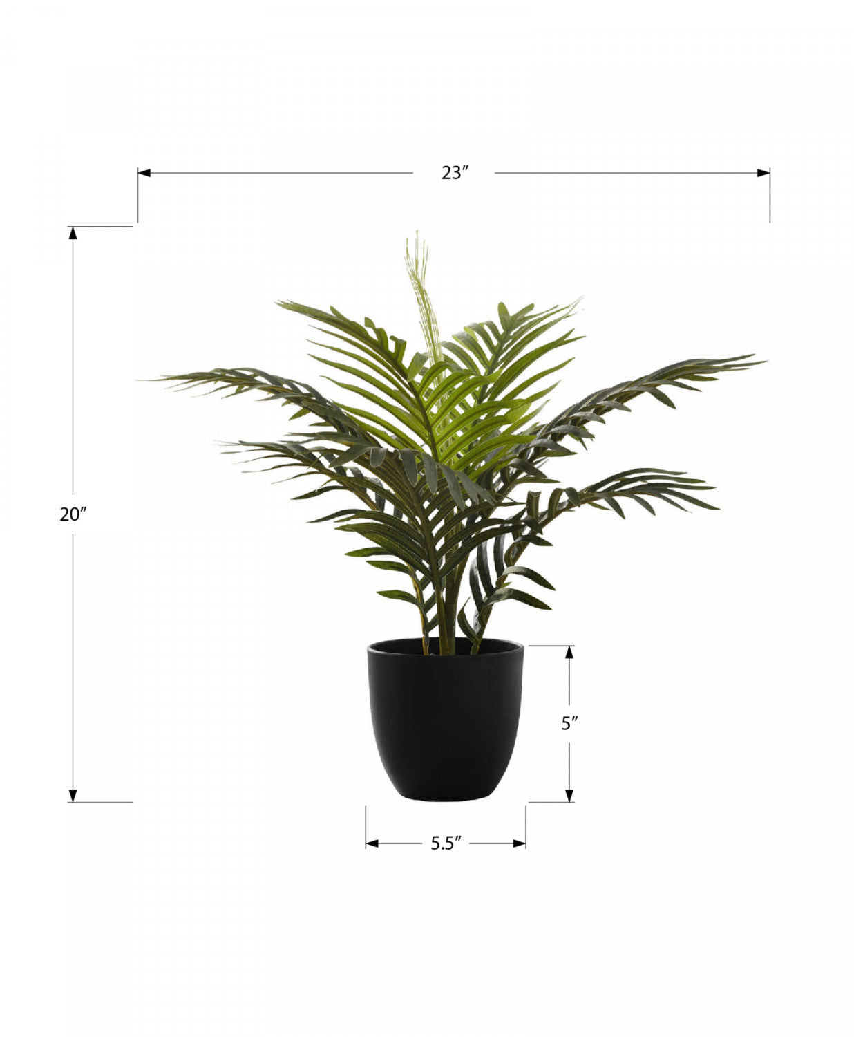 20" Palm Plant With 5" Black Pot - Green