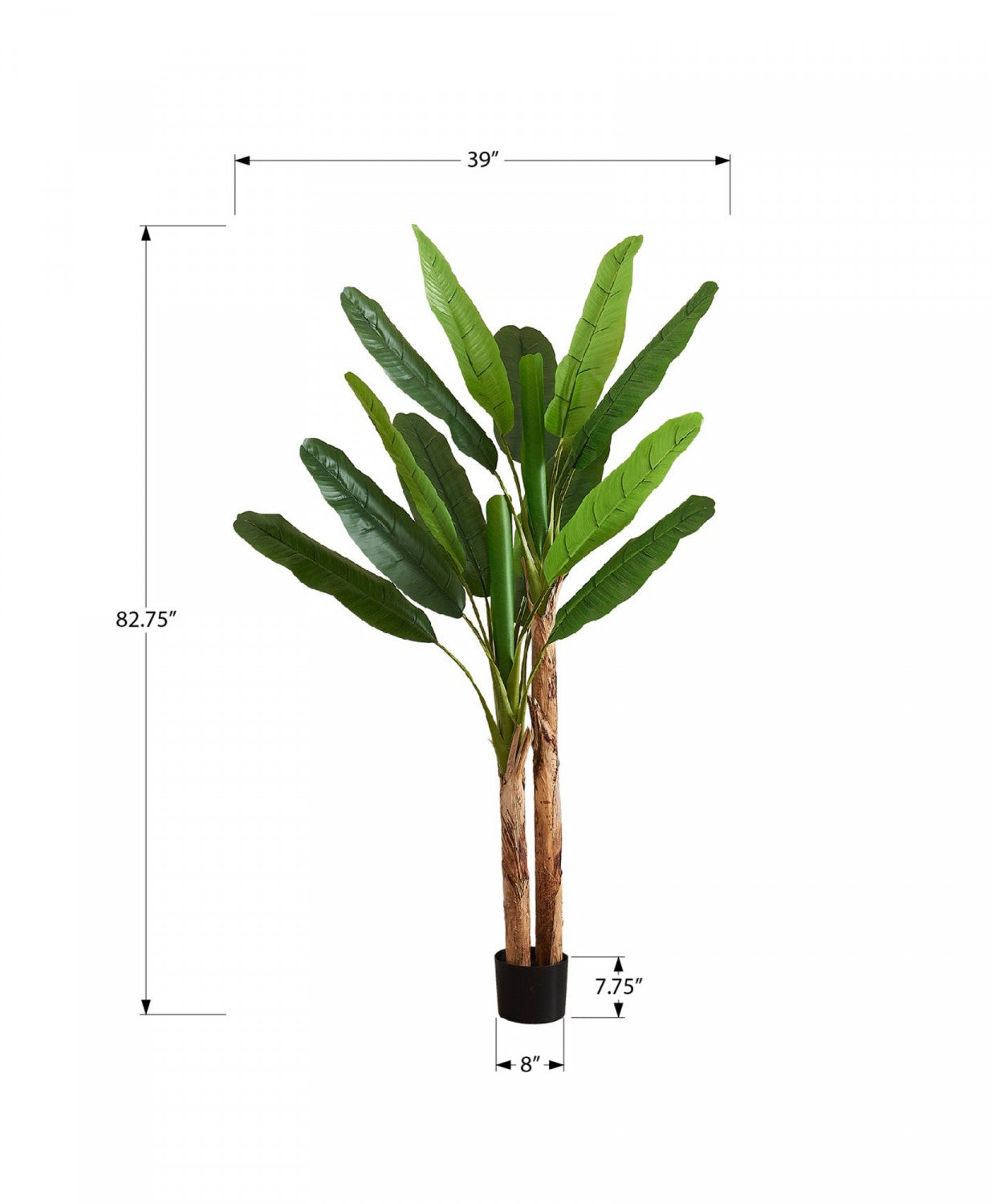 83" Banana Tree With 8" Black Pot - Green