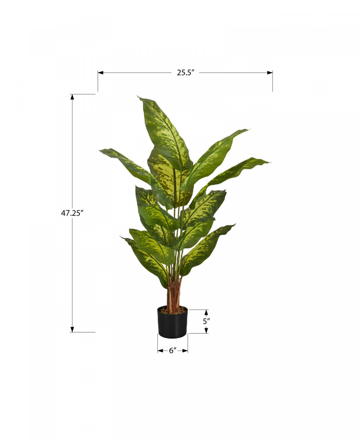 47" Evergreen Plant With 5" Black Pot - Green